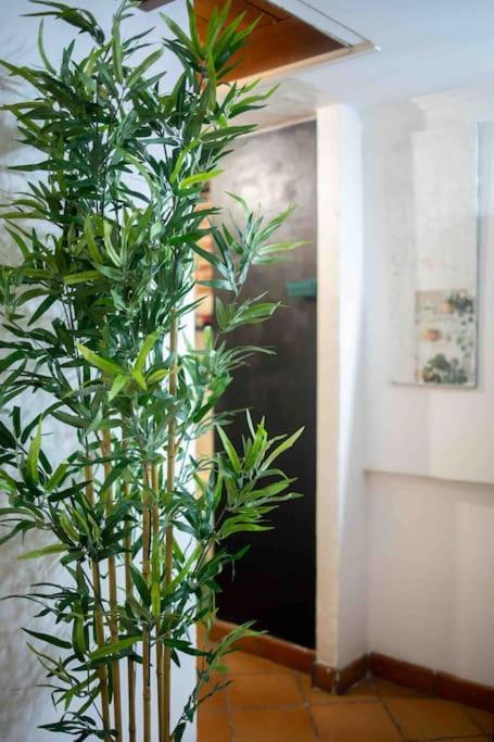 Via Dei Cestari Loft Apartment Roma Ngoại thất bức ảnh
